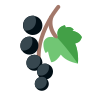 nutrition plan